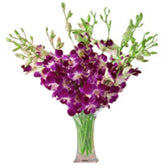 orchids-in-vase